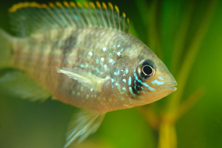 photographie - Marek Stefunko