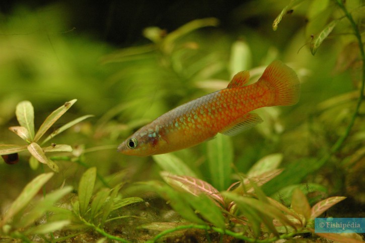 photographie - Dieter Florian