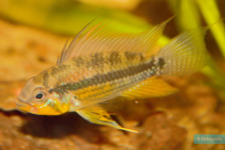 photographie - Leif Johansen