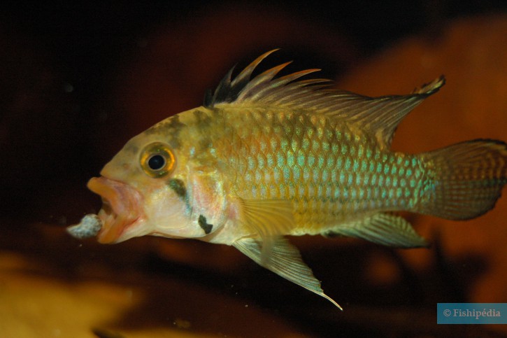 photographie - Piotr Stolc