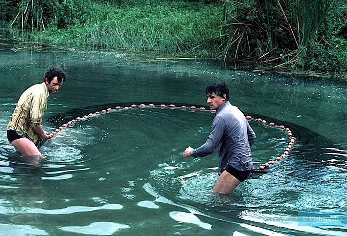 Immersion dans la vie d’un spécialiste aquariophilie