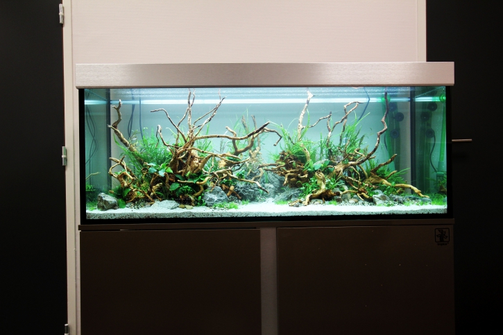 photographie - Aquadesigner