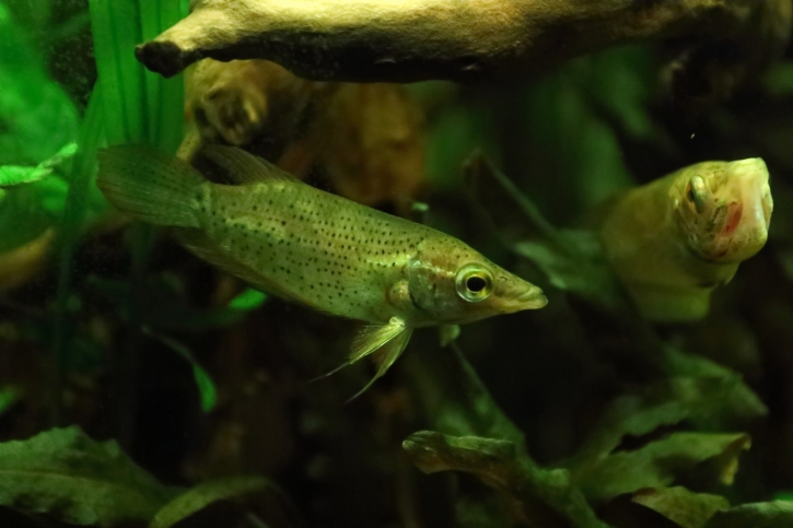 photographie - L. Quirin