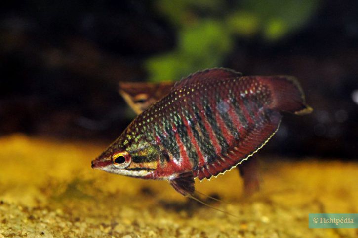 photographie - Jérôme Hugues