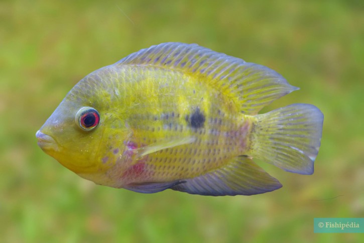 photographie - Ariel Alberto Puentes