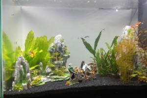 Les grottes de cilaos