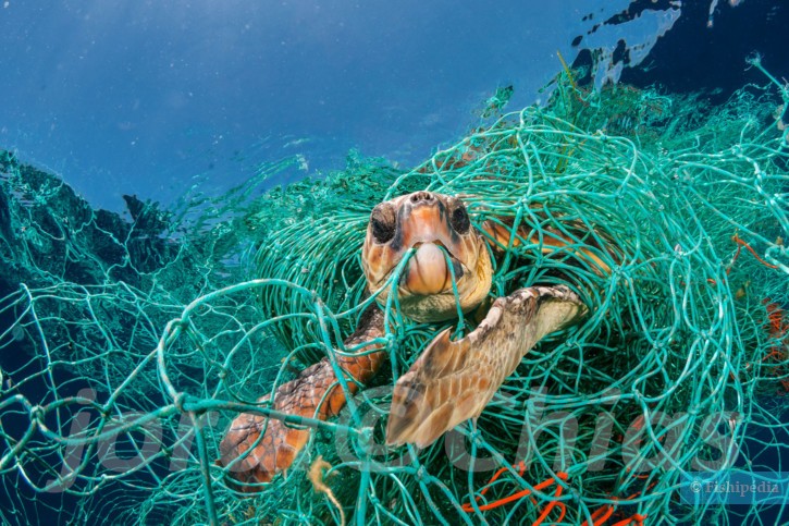 photographie - Jordi Chias