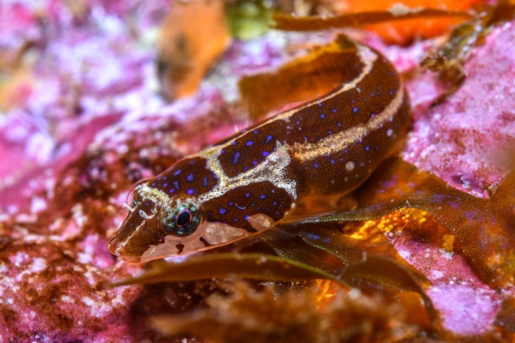 photographie - Xavi Salvador Costa