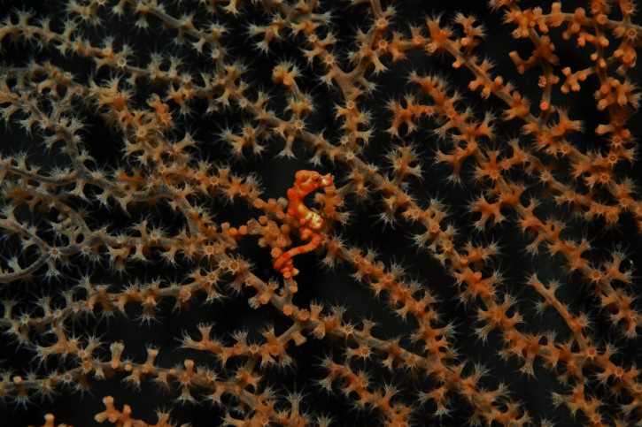 photographie - Bernd Hoppe