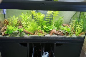 120 Litres | ASIATIQUE |