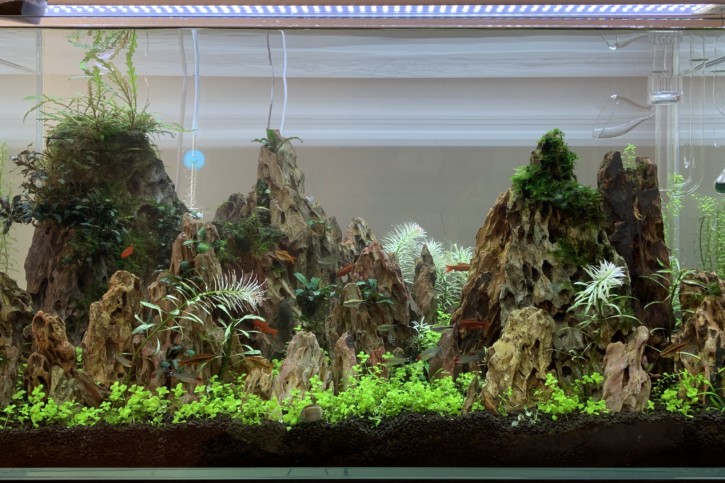 DBF CB