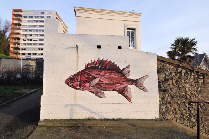 Des poissons dans la ville, entretien avec l’artiste Teuthis