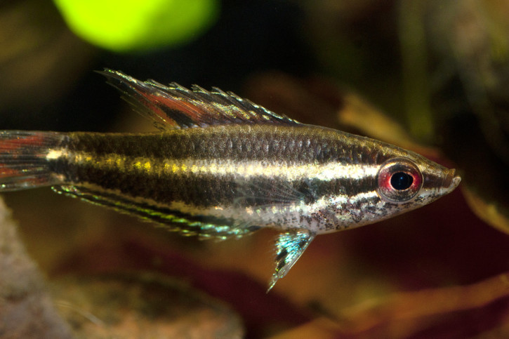 photographie - Lars Iversen