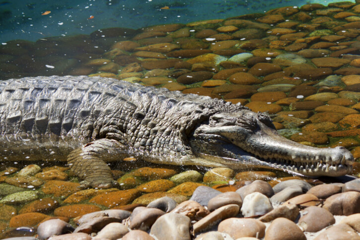 photographie - Fábio N. Manfredini