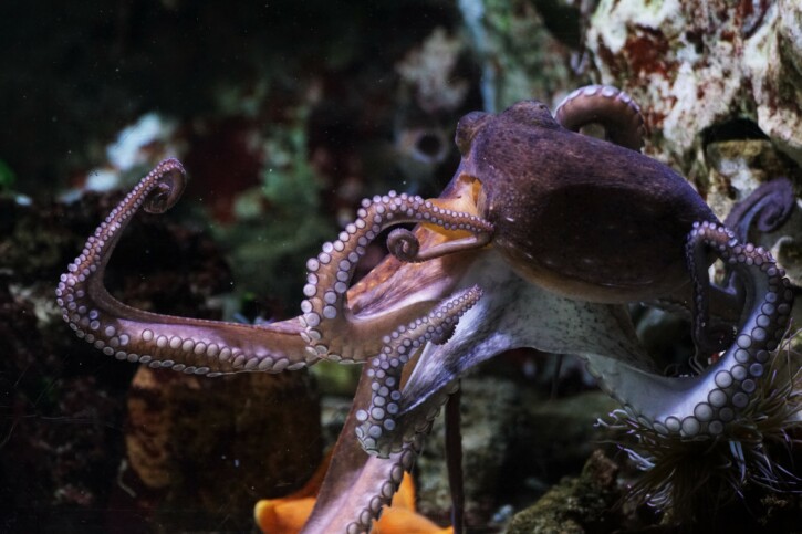 photographie - Paul Moine