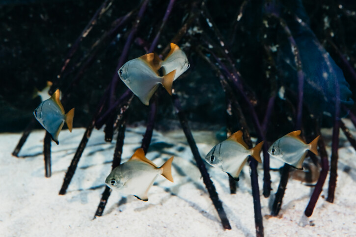 photographie - Florine Jeannot