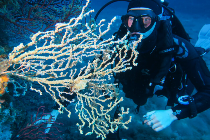 photographie - Nathan Georgeault