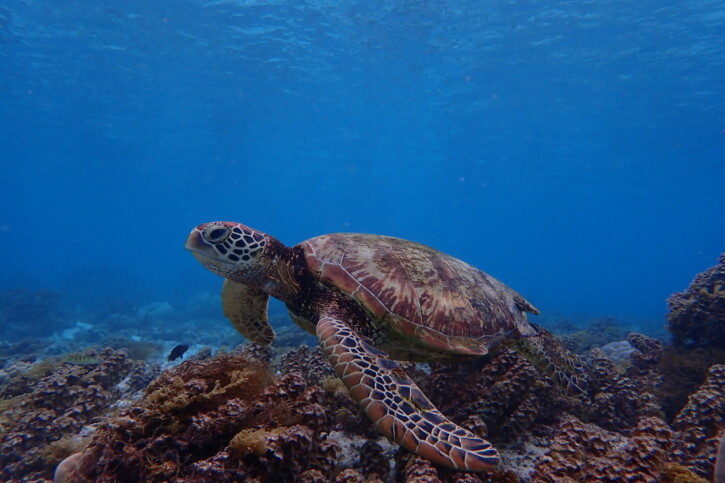 photographie - Théo Guillaume