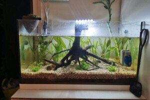 Grand aquarium
