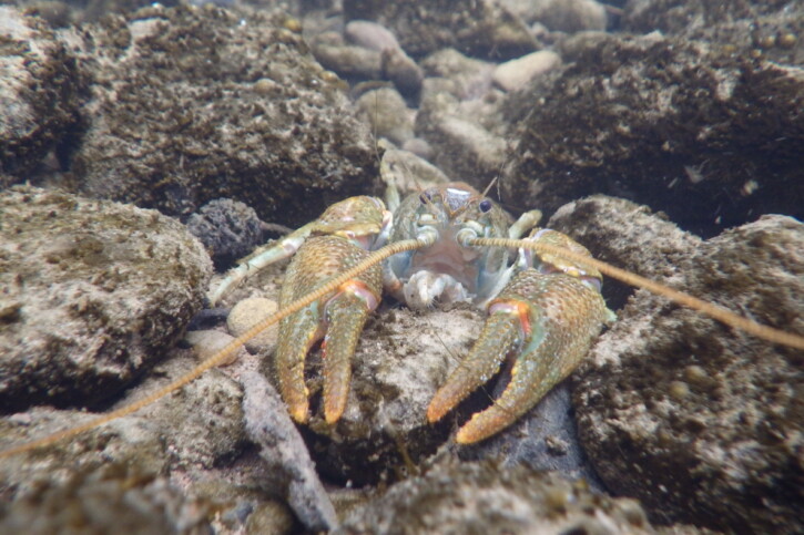 photographie - Mickäel BEJEAN