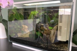Aquarium nano