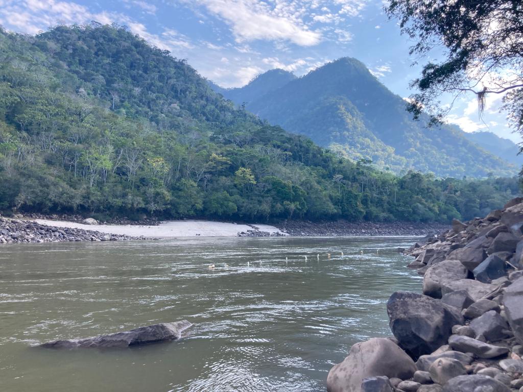 fish fishipedia home