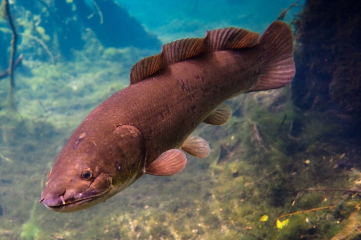 photographie - Phil's 1stPix