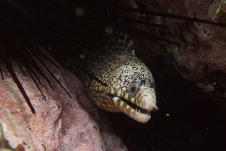 photographie - Sebastián Mena