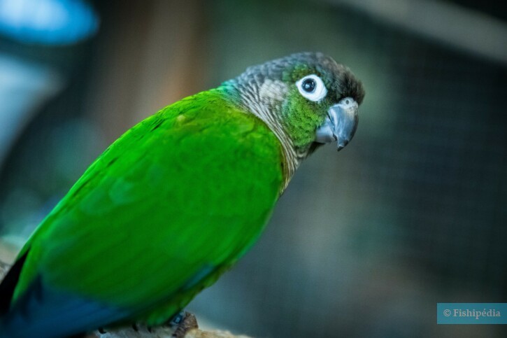 photographie - Planet Ocean