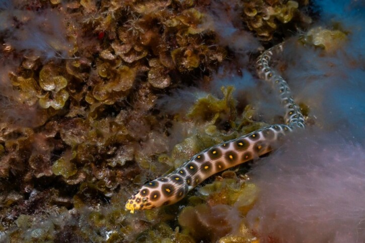 photographie - Xaime Beiro