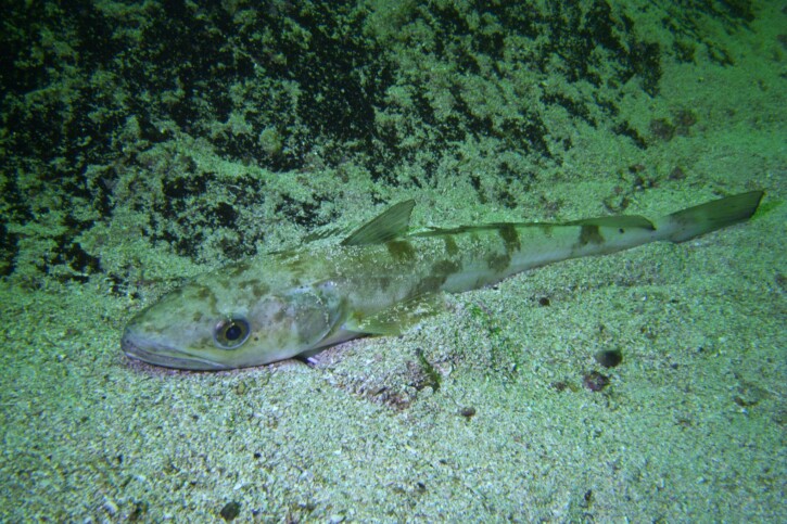 photographie - Guido Schmitz